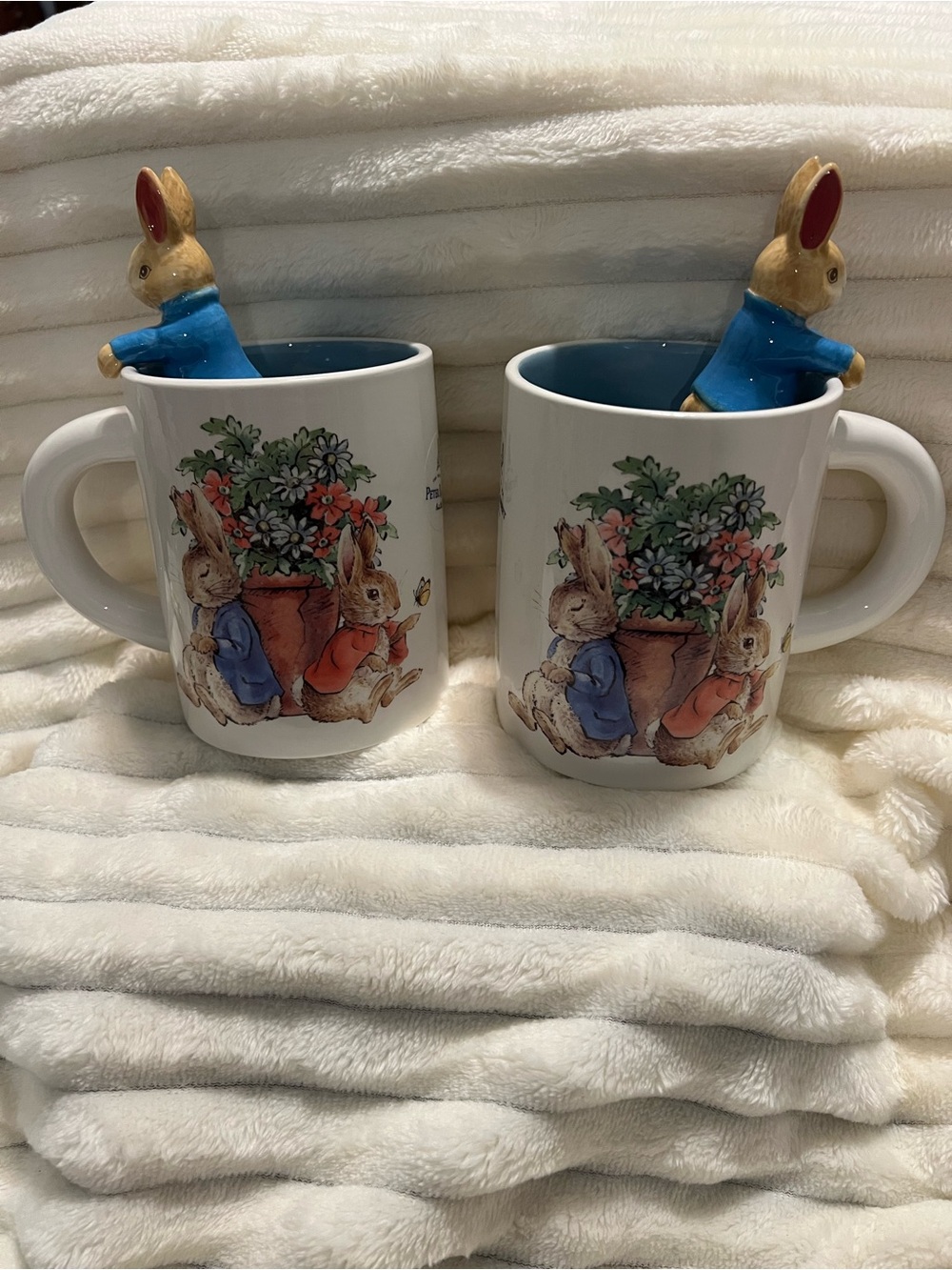 Peter Rabbit Beatrix Potter Ceramic 3D Bunny Floral Mugs with Blue Interior